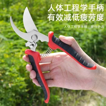 Градински ножици, Професионални остри ножици за подрязване на дървета, винарите, Ръчни и стригане за градината, ножици за клюна