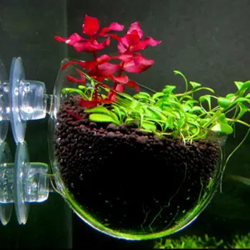Държач за аквариумни растения Кристална гърне за водни растения с лепило, за декорация на аквариум с рибки