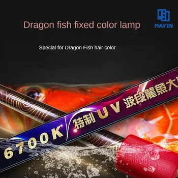 Плътен Цвят на Светлината 6700K Аквариум За Риби Arowana Color Lure Light Нов NEC Люминесцентный Лампа T5 Осветляющая Лампа 92-172СМ